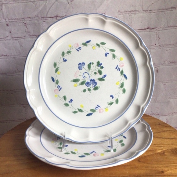 Vintage Floral Expressions Stoneware Dinner Plates - Set of 2 - Picture 1 of 7
